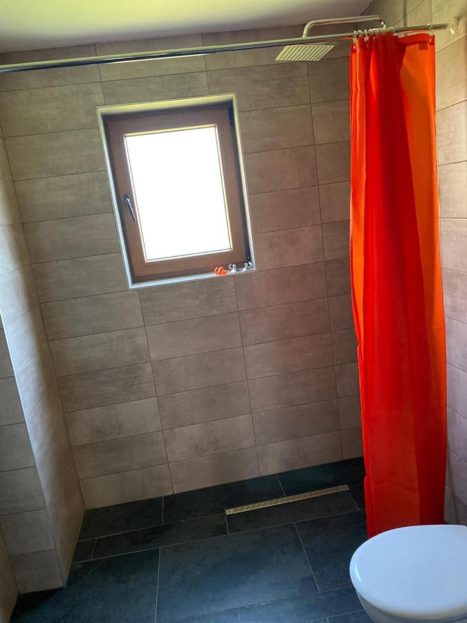 Casa Cerbului Daire Vişeu de Sus Dış mekan fotoğraf
