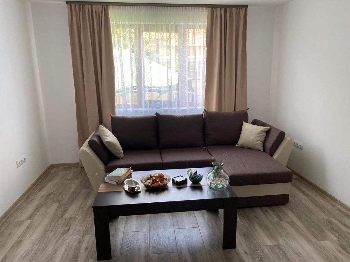 Casa Cerbului Daire Vişeu de Sus Dış mekan fotoğraf