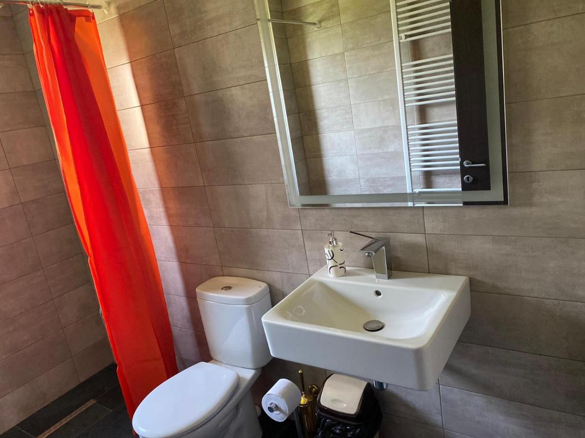 Casa Cerbului Daire Vişeu de Sus Dış mekan fotoğraf