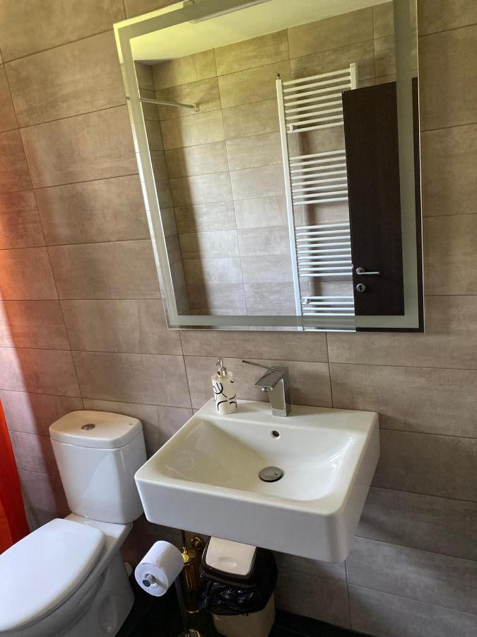 Casa Cerbului Daire Vişeu de Sus Dış mekan fotoğraf